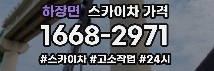 하장면 스카이차 가격