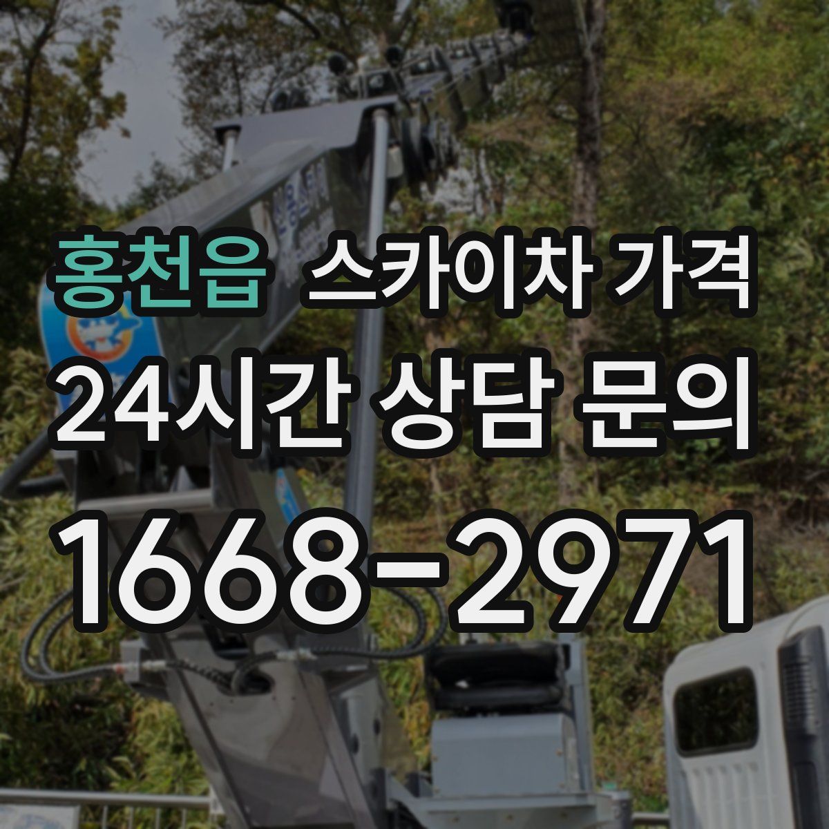 홍천읍 스카이차 가격