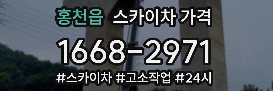 홍천읍 스카이차 가격