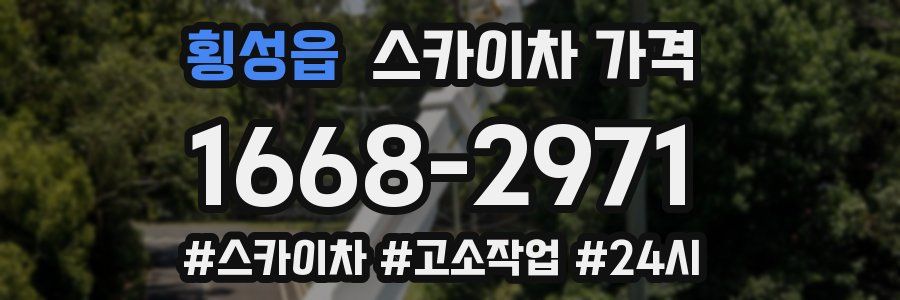 횡성읍 스카이차 가격