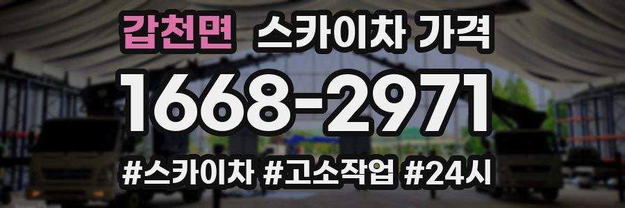 갑천면 스카이차 가격