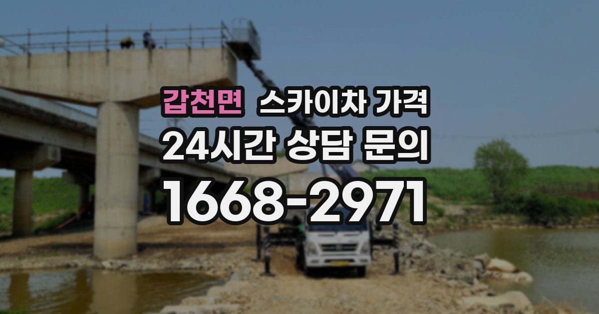 갑천면 스카이차 가격