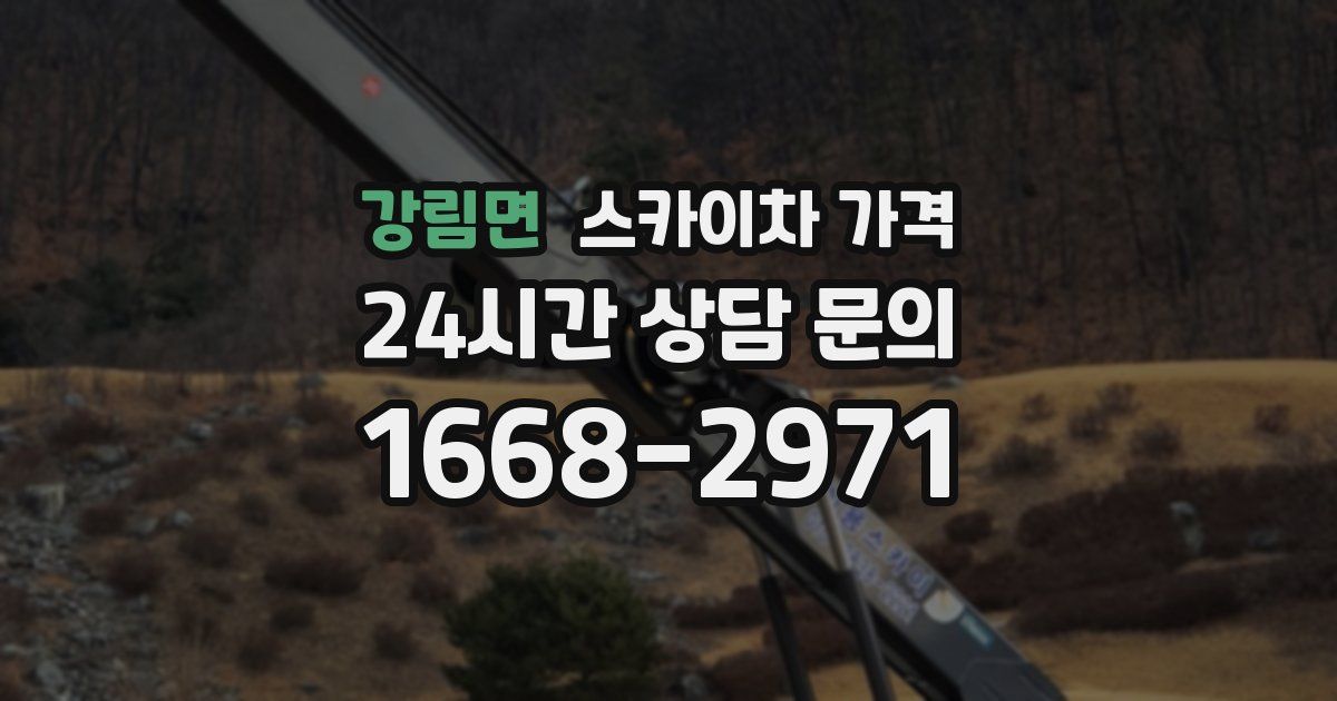 강림면 스카이차 가격