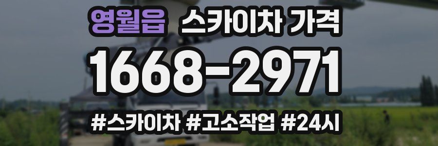 영월읍 스카이차 가격