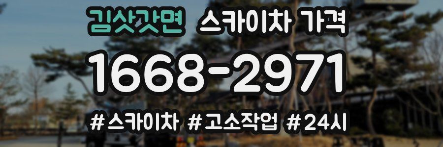 김삿갓면 스카이차 가격