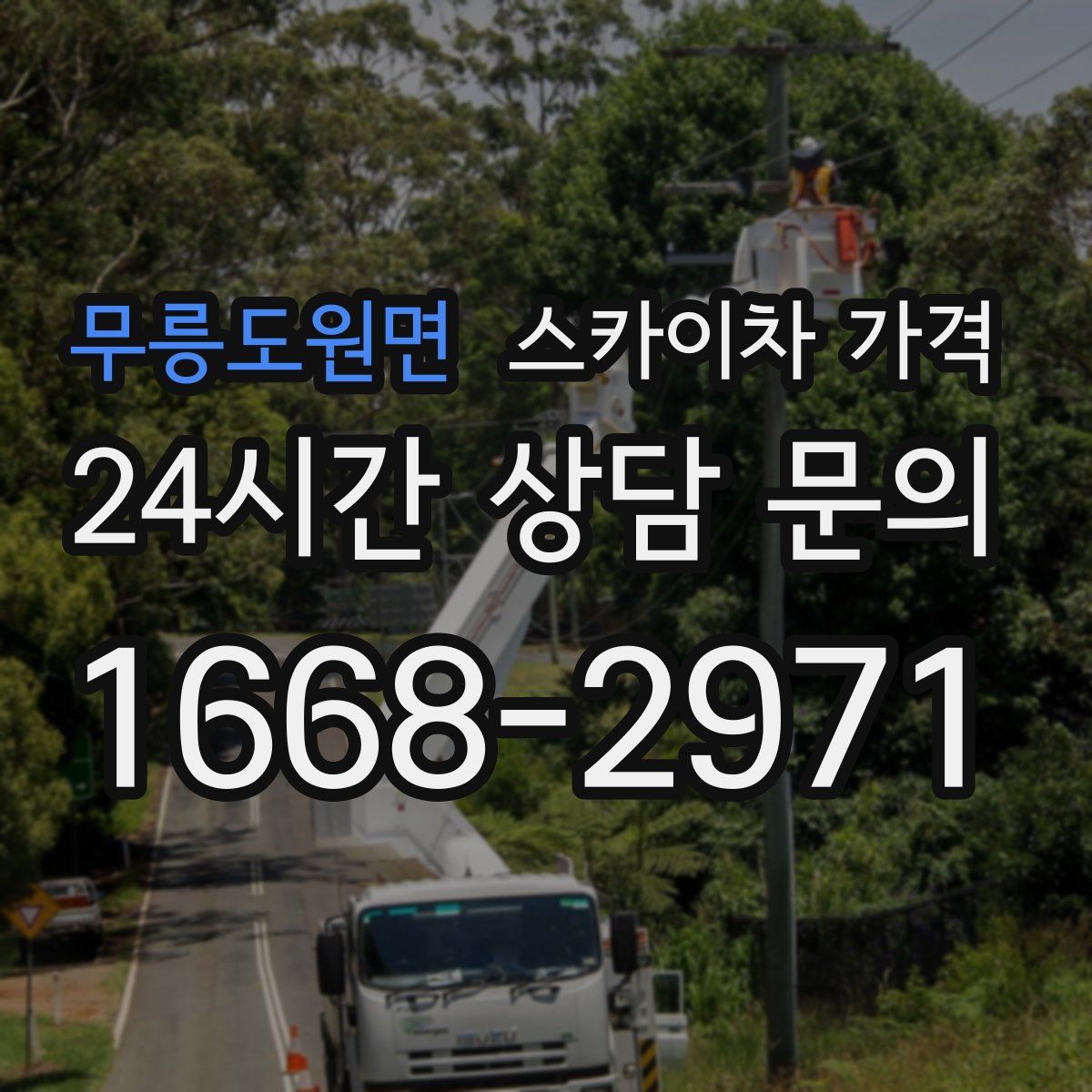 무릉도원면 스카이차 가격