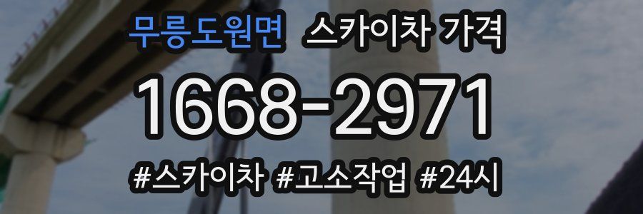 무릉도원면 스카이차 가격