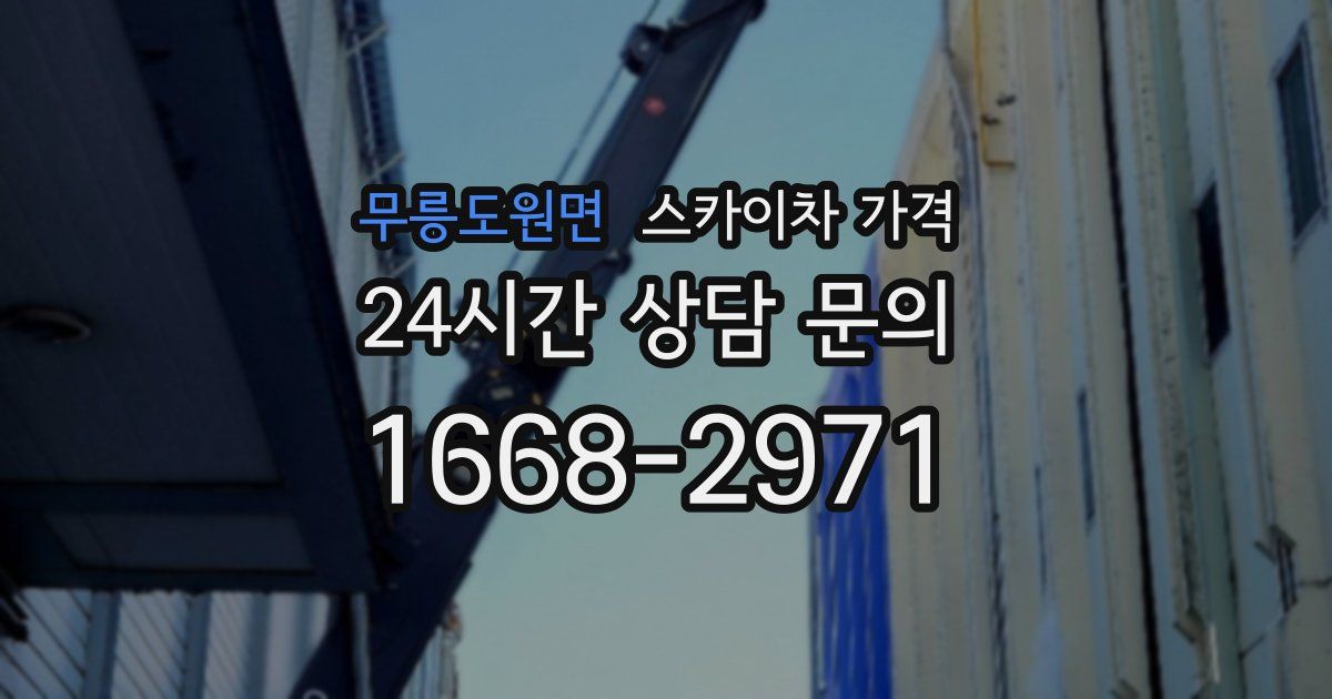 무릉도원면 스카이차 가격