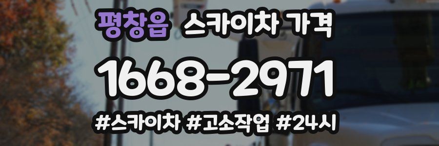 평창읍 스카이차 가격