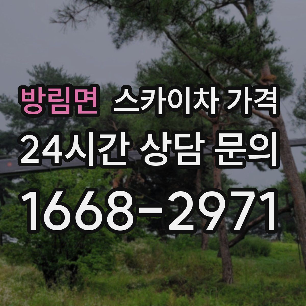 방림면 스카이차 가격