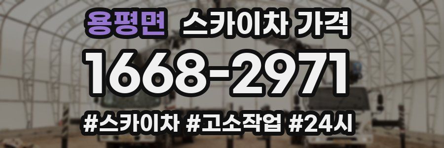 용평면 스카이차 가격