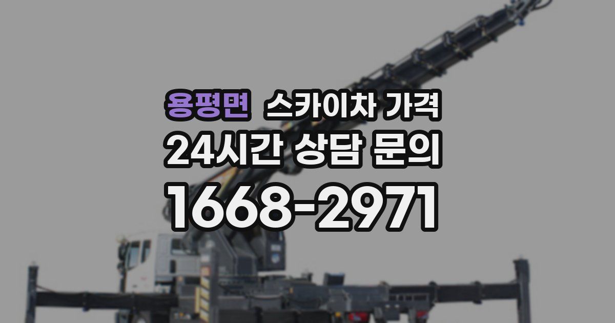 용평면 스카이차 가격