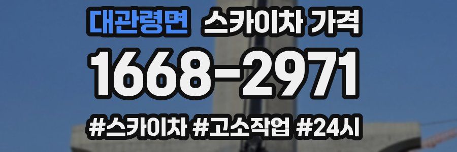 대관령면 스카이차 가격