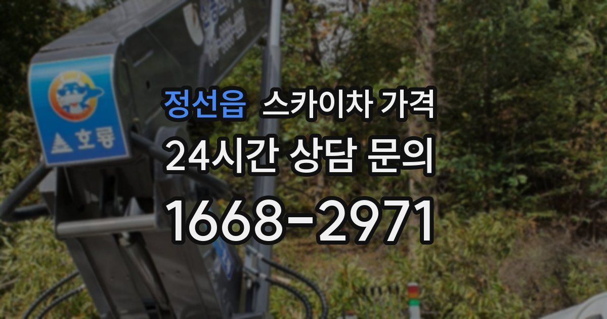 정선읍 스카이차 가격