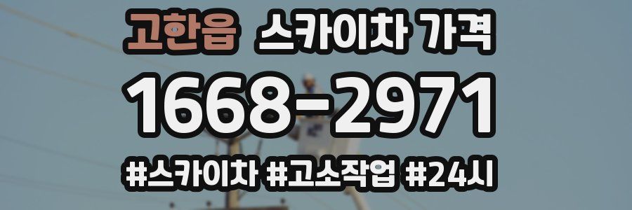 고한읍 스카이차 가격