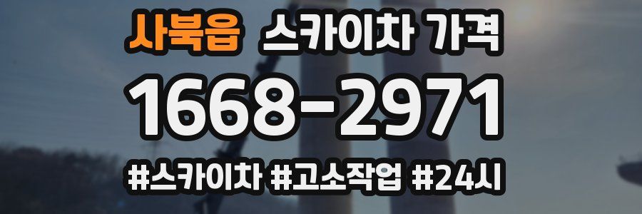 사북읍 스카이차 가격