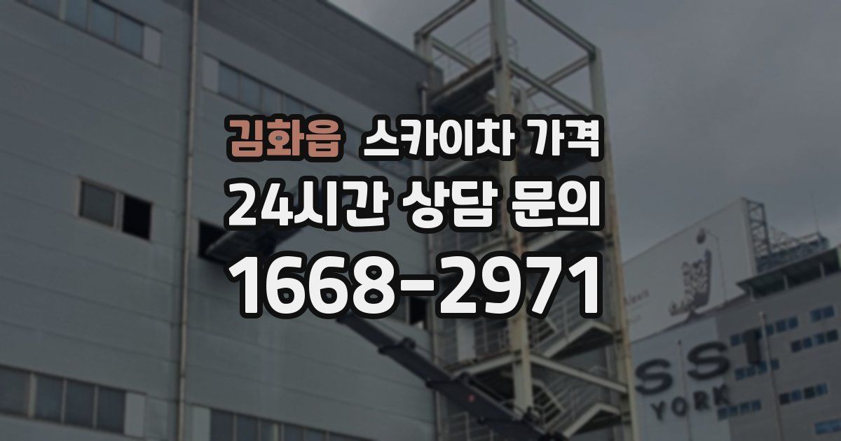 김화읍 스카이차 가격