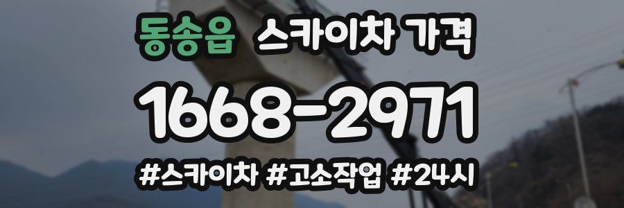 동송읍 스카이차 가격