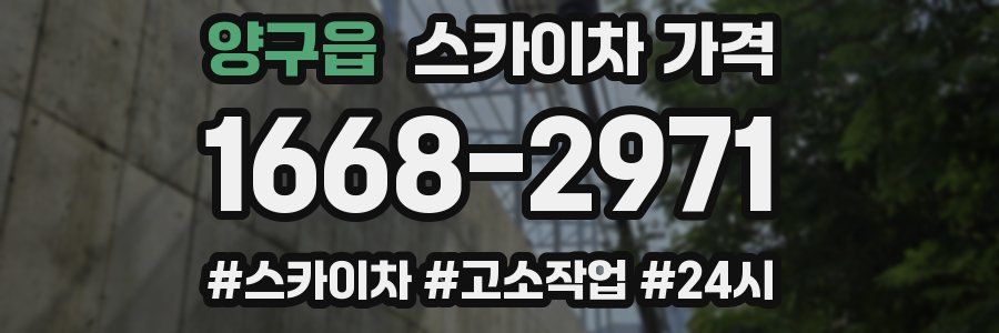 양구읍 스카이차 가격