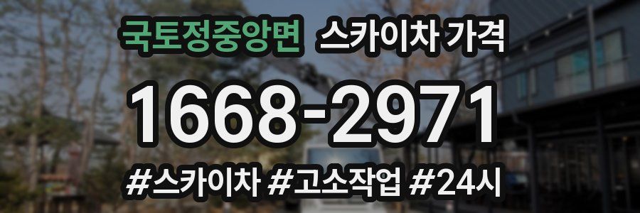 국토정중앙면 스카이차 가격