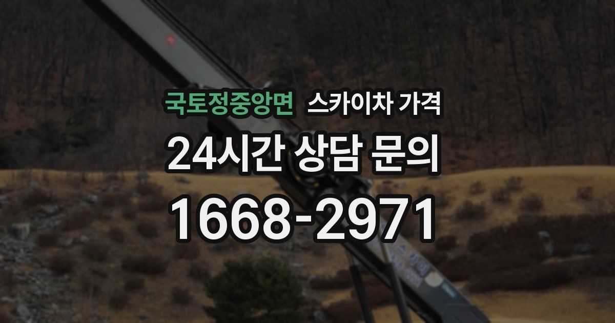 국토정중앙면 스카이차 가격