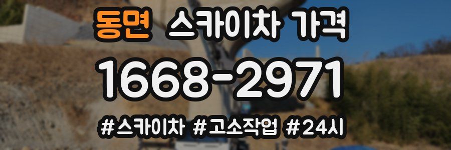 동면 스카이차 가격