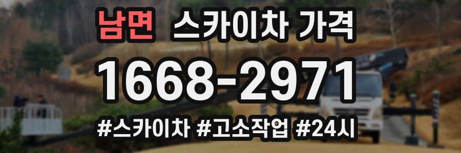 남면 스카이차 가격