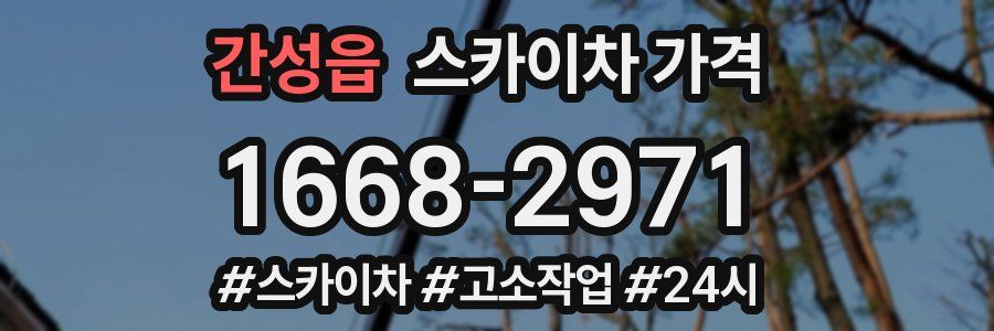 간성읍 스카이차 가격