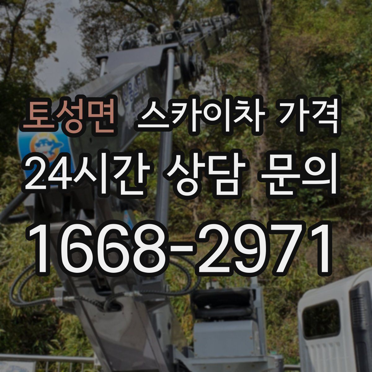 토성면 스카이차 가격