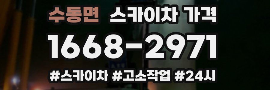 수동면 스카이차 가격