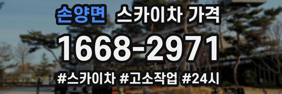 손양면 스카이차 가격