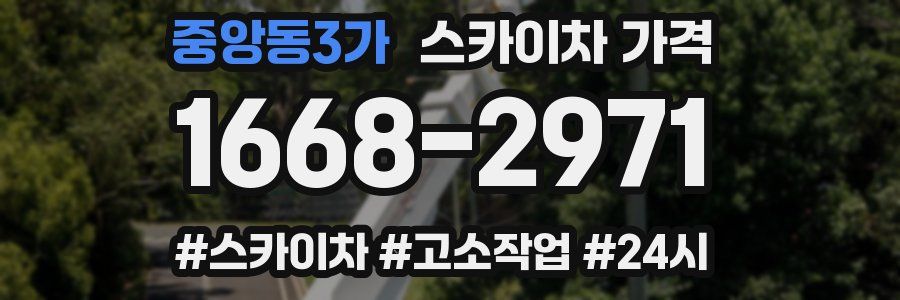 중앙동3가 스카이차 가격