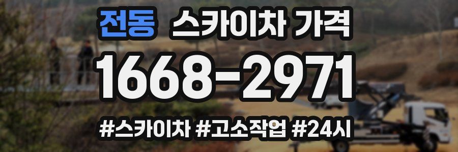 전동 스카이차 가격