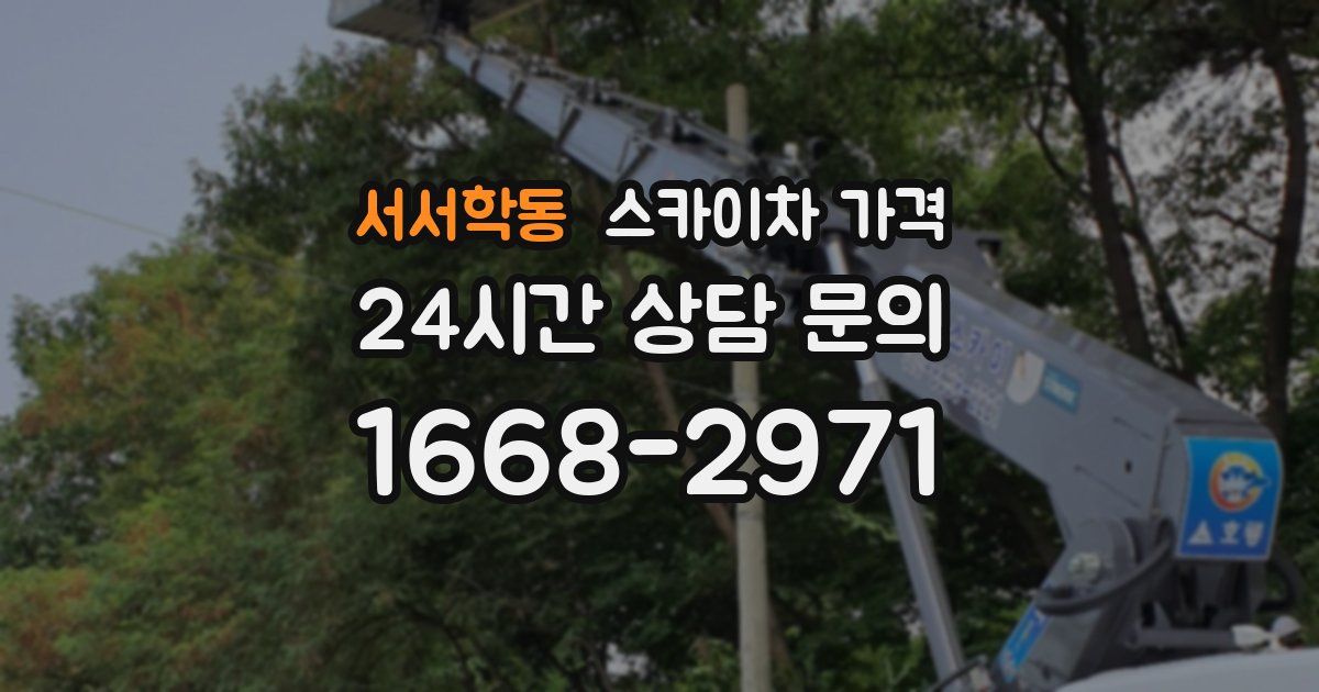 서서학동 스카이차 가격