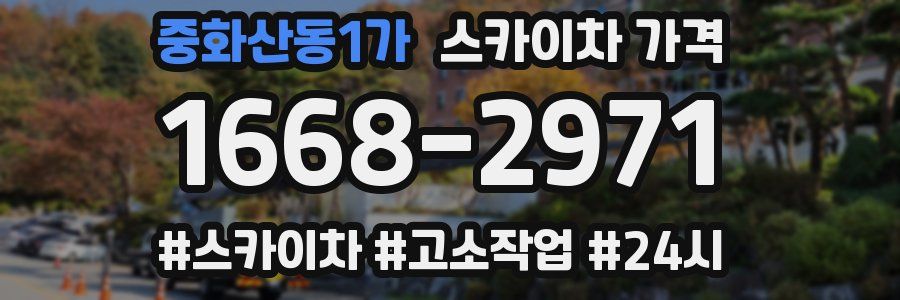 중화산동1가 스카이차 가격