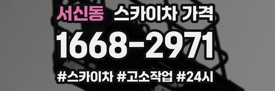 서신동 스카이차 가격