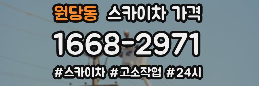 원당동 스카이차 가격