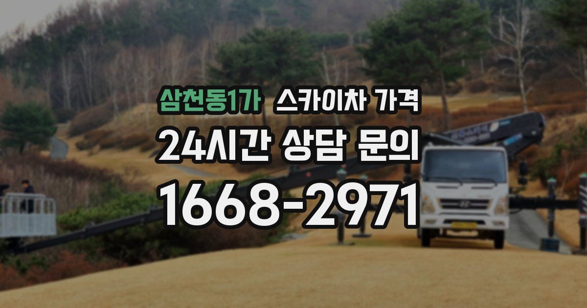 삼천동1가 스카이차 가격