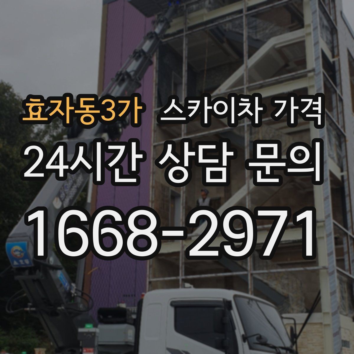 효자동3가 스카이차 가격 수목 전정은 작업 구역이 넓으면 달라질까