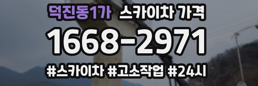 덕진동1가 스카이차 가격