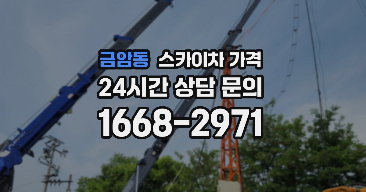 금암동 스카이차 가격