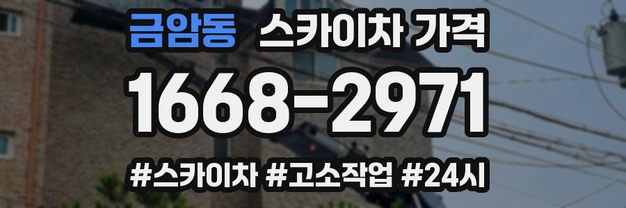 금암동 스카이차 가격