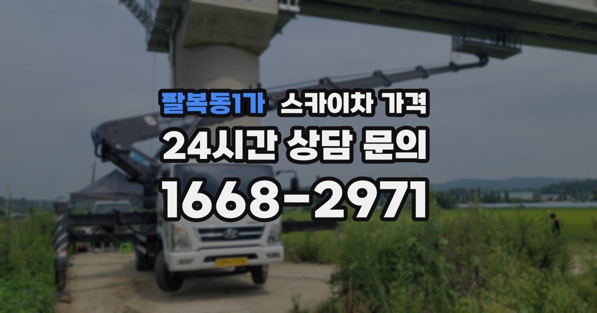 팔복동1가 스카이차 가격