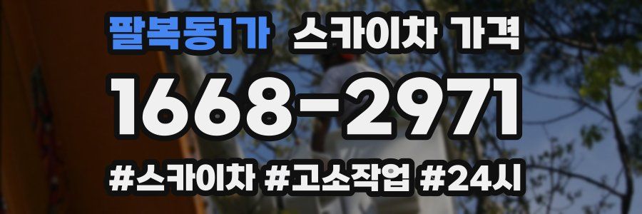 팔복동1가 스카이차 가격