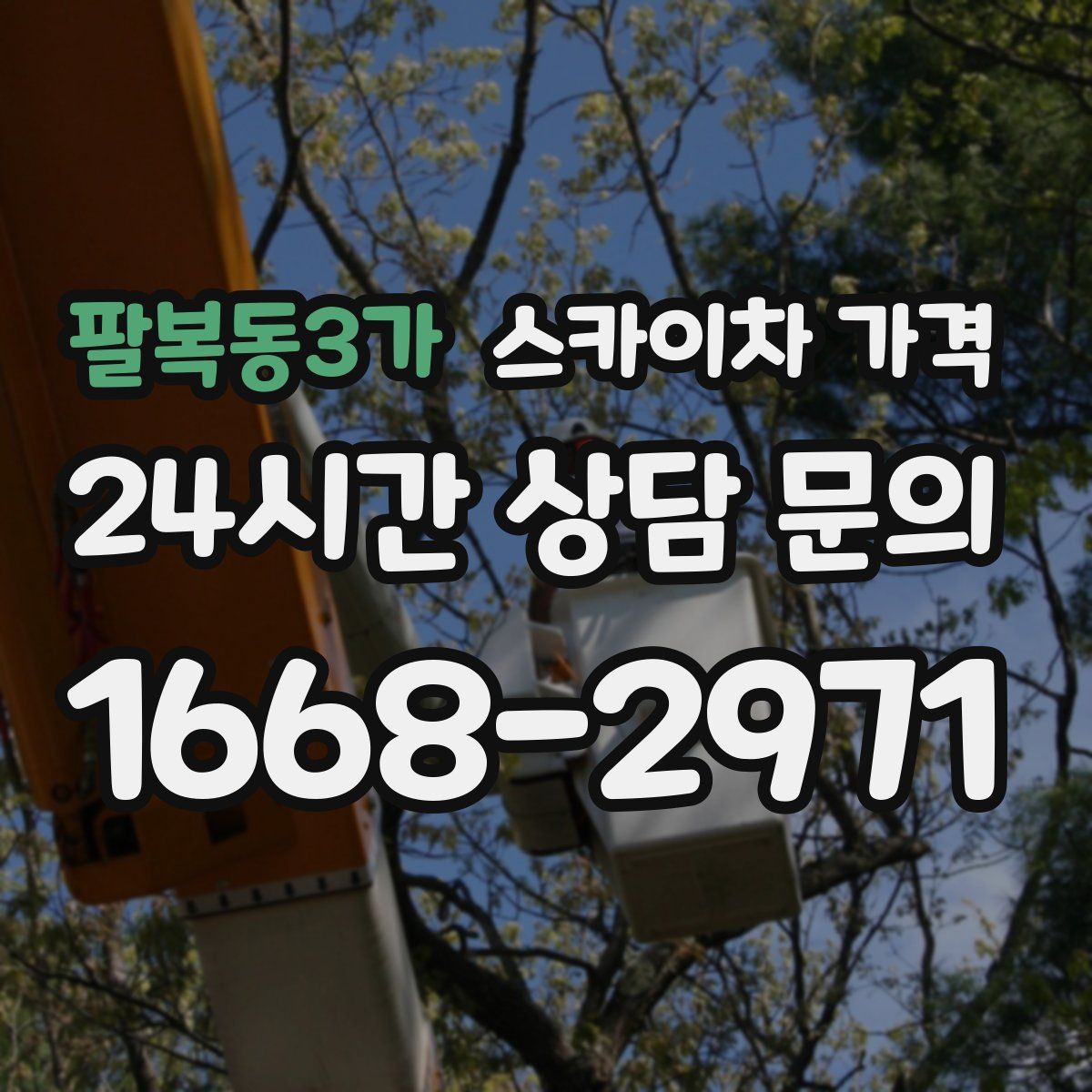 팔복동3가 스카이차 가격