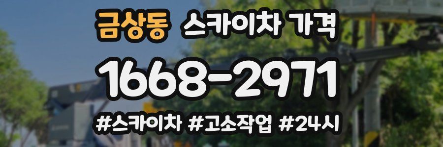 금상동 스카이차 가격