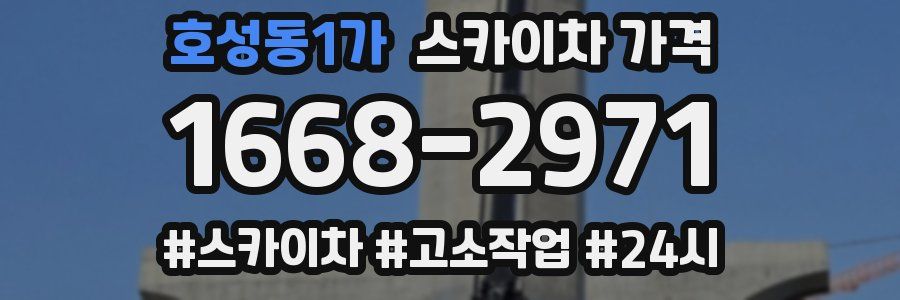 호성동1가 스카이차 가격