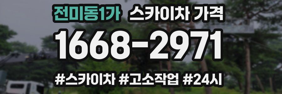 전미동1가 스카이차 가격