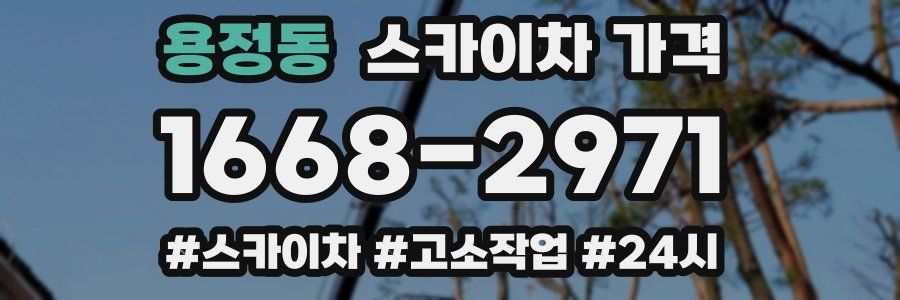 용정동 스카이차 가격