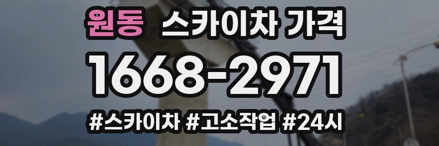 원동 스카이차 가격